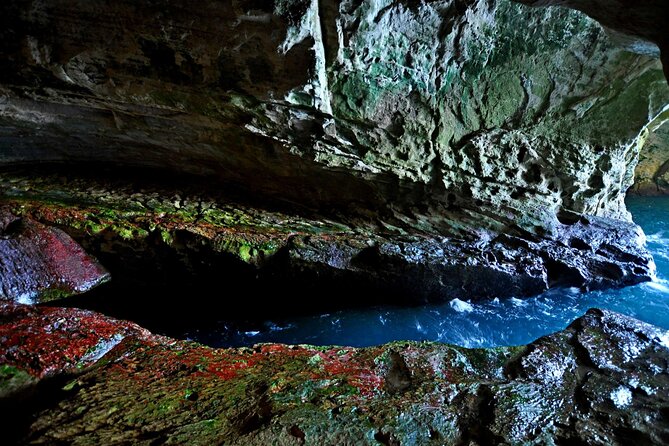 Sea Caves and Ancient Ruins Rosh HaNikra and Acre Private Tour - Frequently Asked Questions
