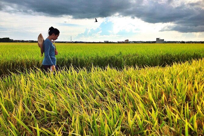 Sekinchan Paddy Field, Fishing Village & Redang Beach Tour From Kuala Lumpur - Booking Details