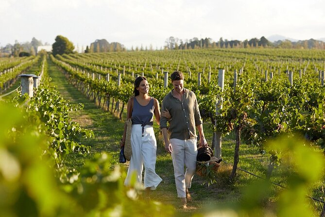 Semi-Private Wine Tour of 2 Wineries With Wine Tastings - Inclusions