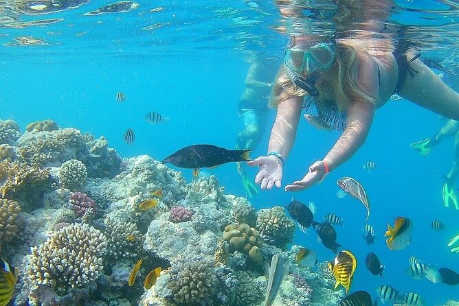 Sharm El Naga Full-Day Snorkeling Tour From Hurghada
