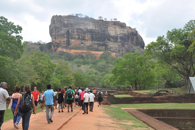 Sigiriya Rock and Wild Elephant Safari From Kandy - Operator Details