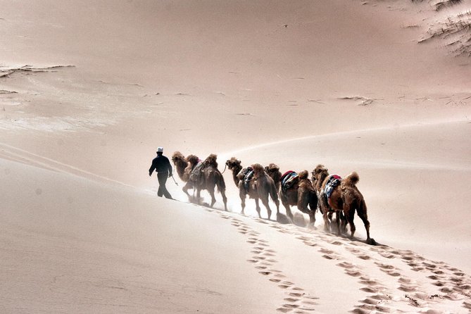 Silk Road Adventure - Accommodation and Meals