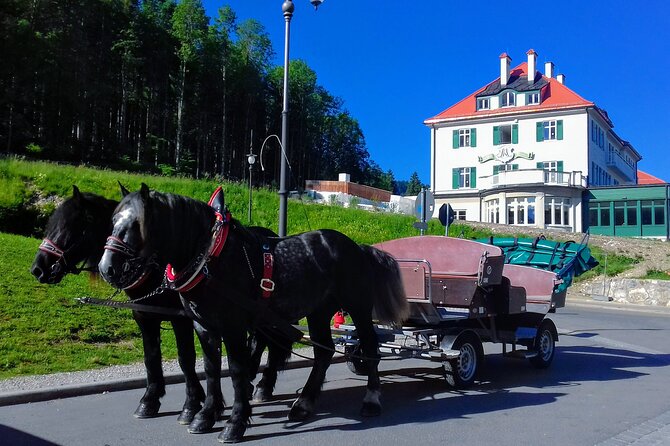 Skip the Line NEUSCHWANSTEIN and Mt. Zugspitze Private Deluxe Tour