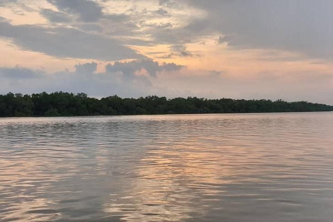 Sky Mirror Experience at Kuala Selangor From Kuala Lumpur - Tour Highlights