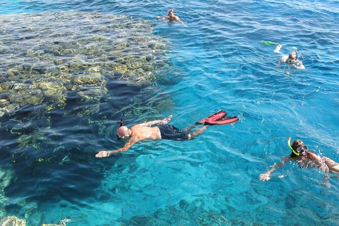 Snorkeling Trip to Giftun Island - Booking Information