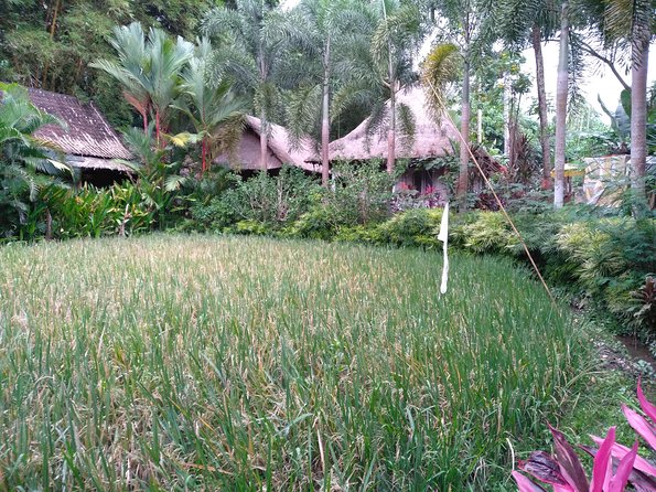 Sunrise Trekking With Ubud Tour - The Sum Up