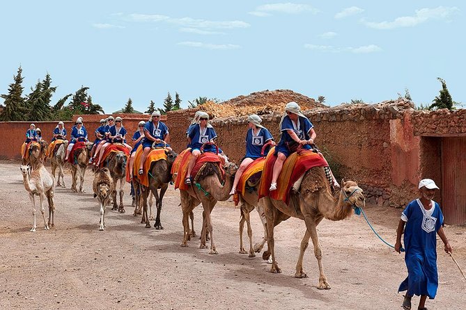 Sunset Tour & Dromedary Ride At Palm Grove Of Marrakech - Pickup Information