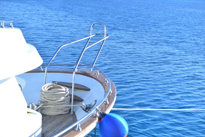 Swim With Dolphins in Satayeh Reef Snorkel Sea Excursion - Marsa Alam - Operator Information
