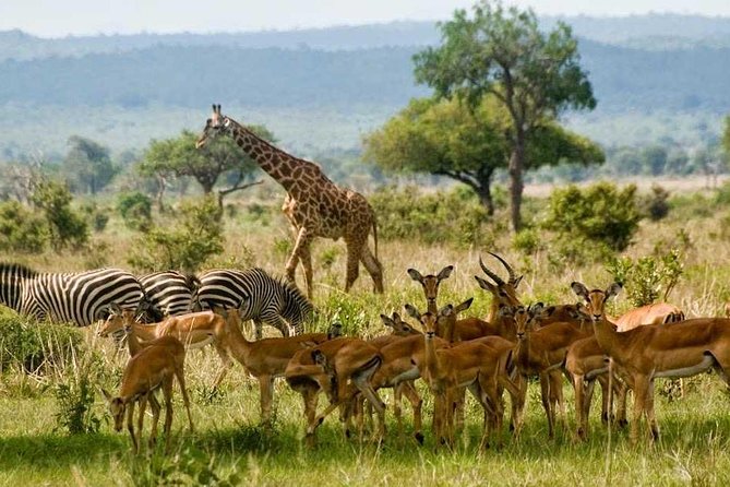 Tanzania Safari - 7 Days Cultural Safari. - Detailed Itinerary