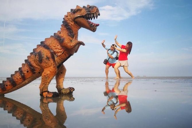 The Fascinating Sky Mirror Experience at Kuala Selangor - Tour Inclusions and Pickup Options