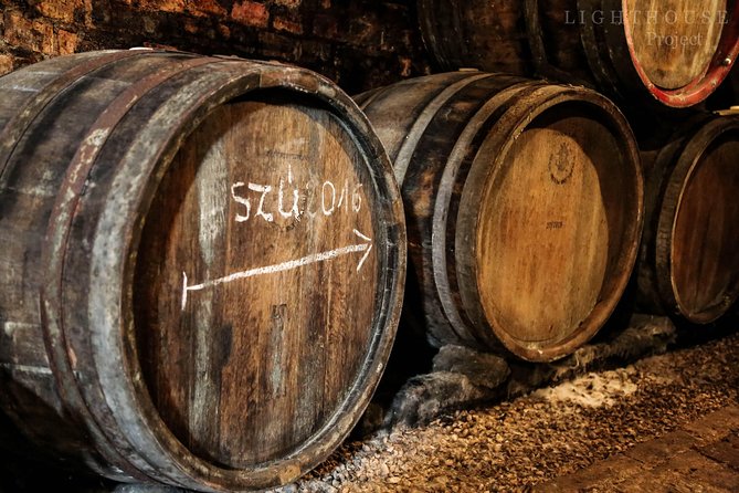 Tokaj Full Day Private Wine Tour From Budapest - Itinerary Overview