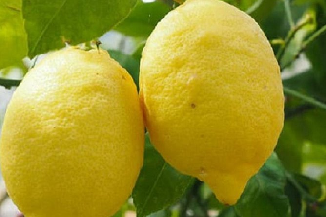 Transfer From Naples to Sorrento With Stop in Pompeii - Pickup Information