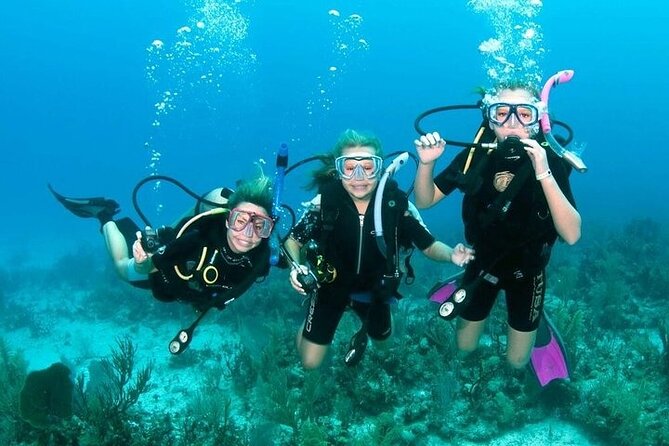 Underwater Wonders in Hurghada With Scuba Diving - Discovering Hurghadas Underwater Beauty