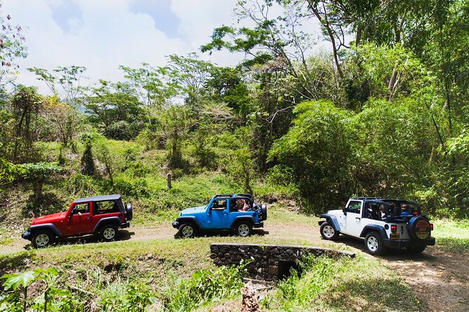 Village Tour by Classic Jeep From Habarana - Meeting Point Details