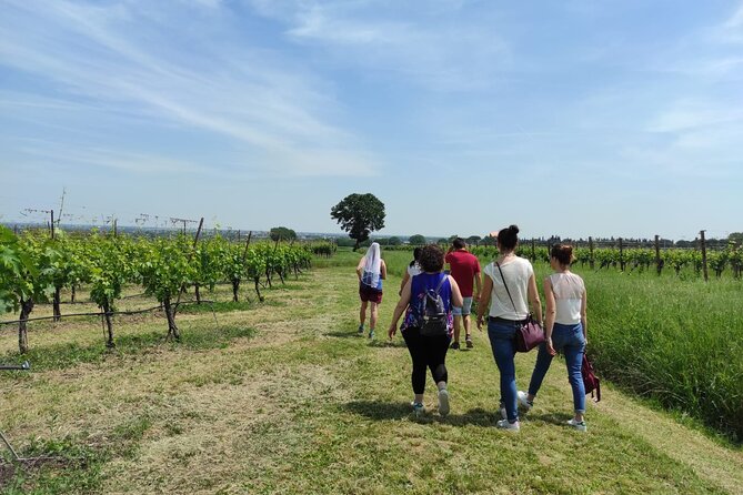 Visit of the Winemaker With Tasting of Typical Products in Faenza - Timings and Operating Hours