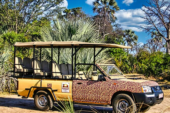 Vulture Safari Tour in Victoria Falls National Park Zimbabwe - Price and Payment Options