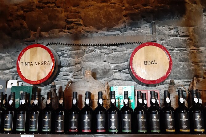 Weekends Madeira Wine Tasting São Vicente - São Vicente Location