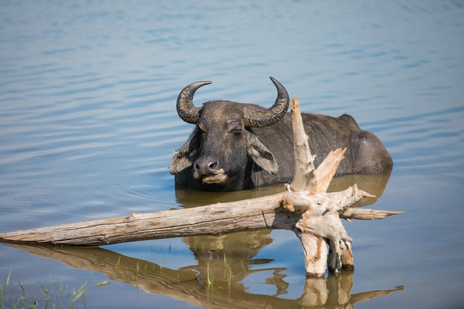 Wildlife of Sri Lanka (10 Days) - Booking Information
