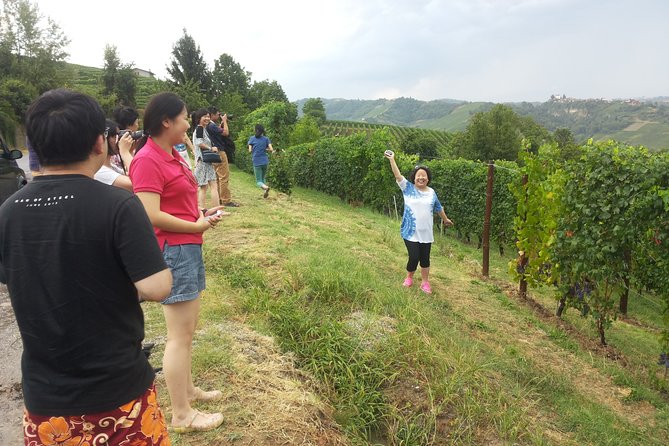 Wine and Cheese Tastings Southern Tuscany Shoreexcursion From Civitavecchia Port - Important Reminders