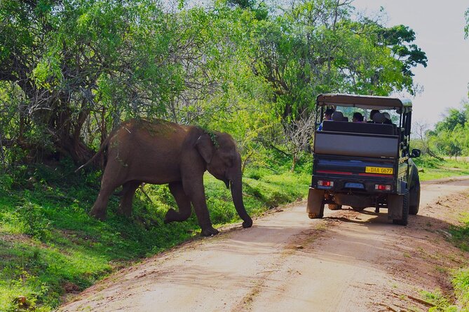 Yala Jeep Safari Tour From Yala - Directions Heading 1