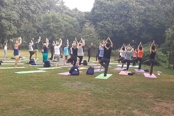 Yoga Tour To India (All-Inclusive) - Tour Highlights