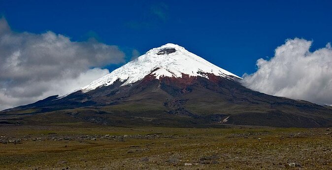 9-Day Ecuador Private Food Tour - Good To Know