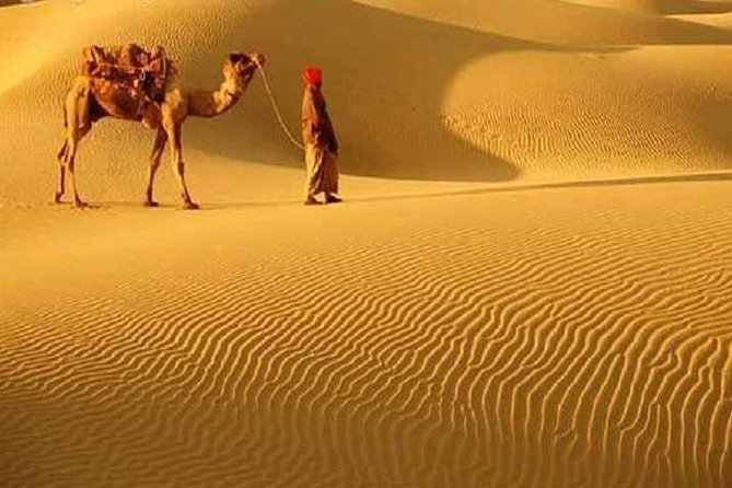 A Camel Safari With High Tea and Local Music - Good To Know