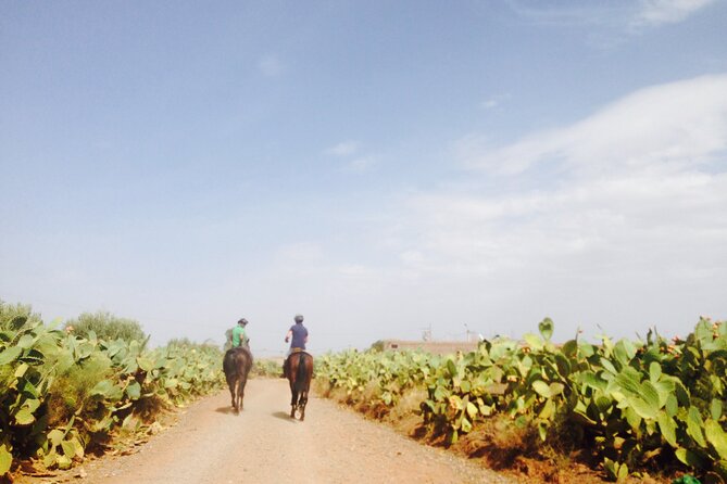A Day on Horseback in the Countryside With Lunch at the Farm - Good To Know
