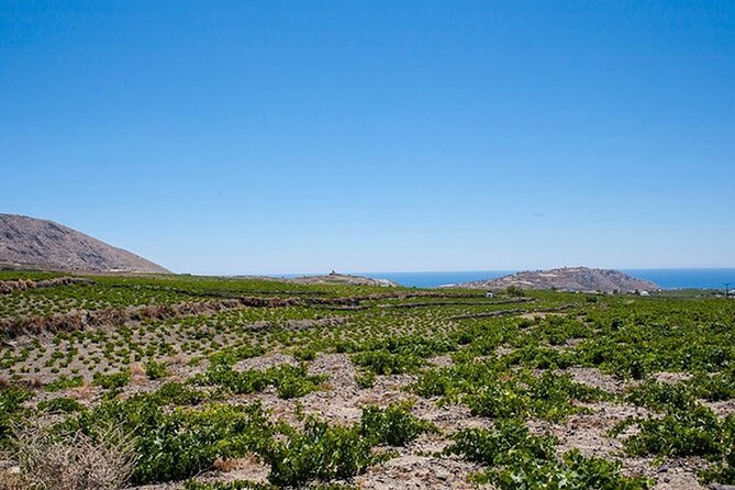 A Full Day Experience of Santorini - Transportation Details