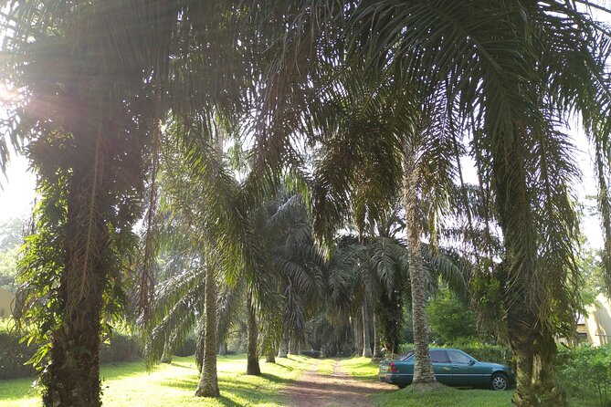 Aburi Gardens & Cocoa Tours - Good To Know