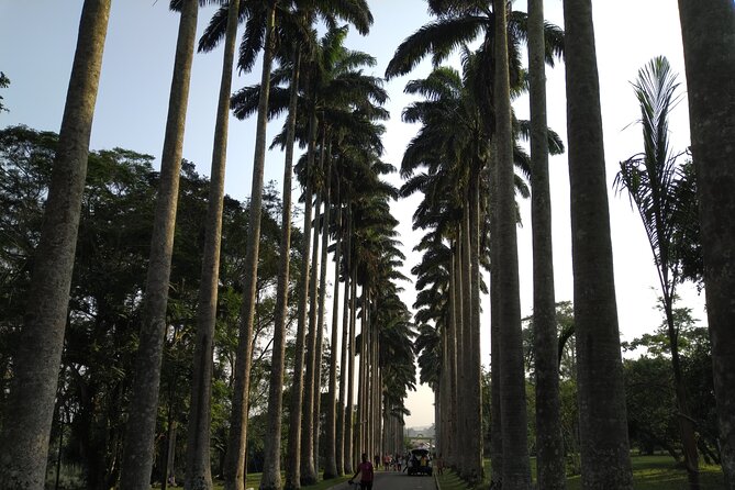 Aburi Gardens Transfers - Good To Know