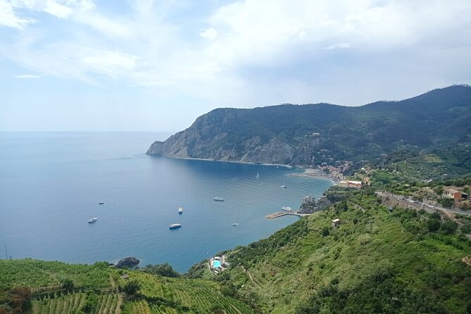 Accessible Cinque Terre & Pisa Private Tour From Livorno Port - Good To Know