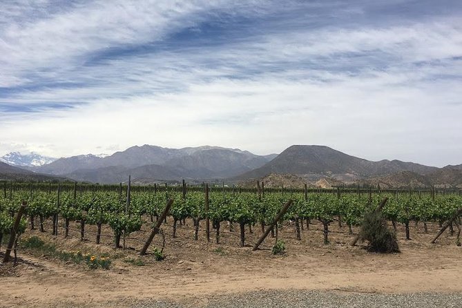 Aconcagua Valley - Good To Know
