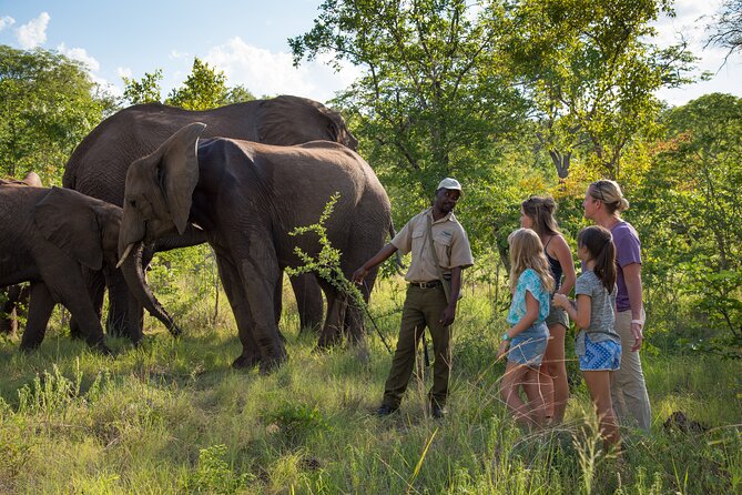 Adventure Pass (Zimbabwe) - Inclusions and Exclusions