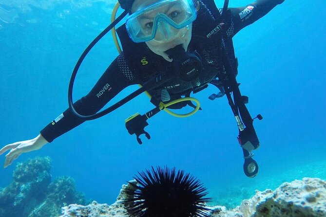 Adventure & Scuba Diving Experience in Jale Beach - Good To Know