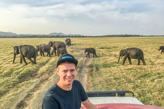 Afternoon Safari at Minneriya National Park - Good To Know
