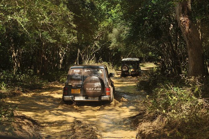 Afternoon Safari to Wilpattu National Park - Good To Know