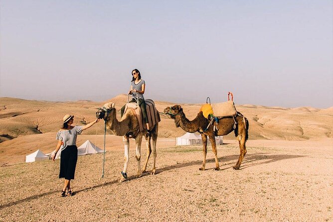 Agadir Camel Ride Experience With BBQ Include - Good To Know