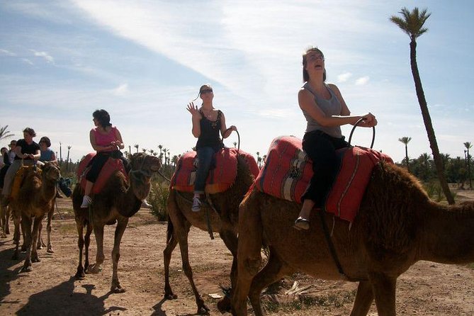 Agadir Camel Riding Sunset Time + Barbecue BBQ 5pm to 9pm - Good To Know