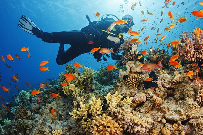 Alanya 5 Hour Scuba Diving - Good To Know