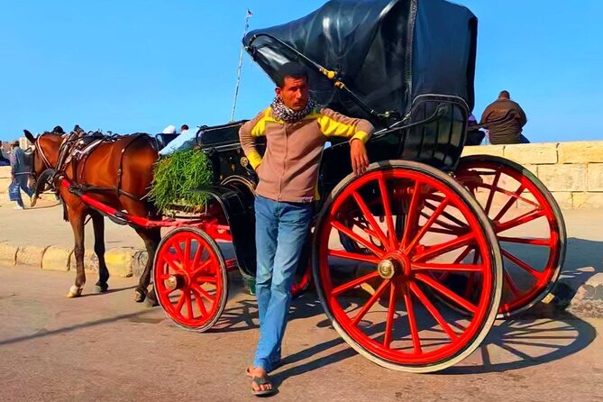 Alexandria Free Walking Tours & Horse Carriage Ride by Night