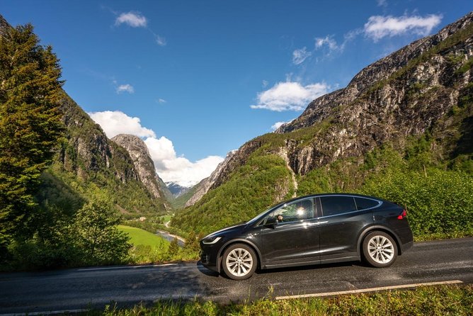 ALL ELECTRIC: Emission Free Tour to the World Heritage Fjords, 10.5 Hours - Good To Know