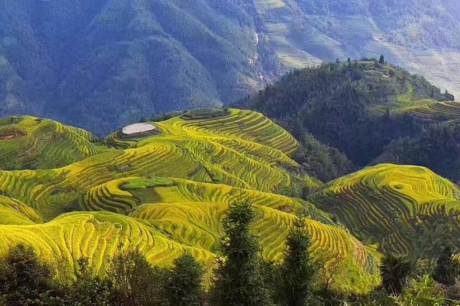All-inclusive Private Day Tour to Longji Rice Terraces and Village