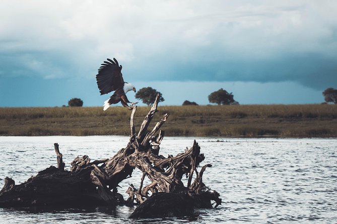 All Inclusive Private Safari at Yala and Bundala National Parks With Lunch - Good To Know