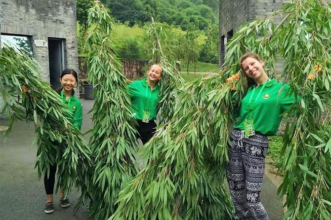 All Inclusive Wolong or Dujiangyan Panda Base Volunteering - Good To Know