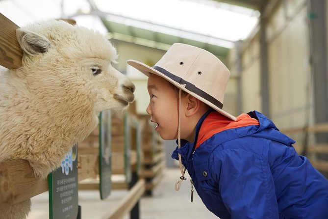 Alpaca World & Suspension Bridge Day Tour With Luge Ride - Good To Know