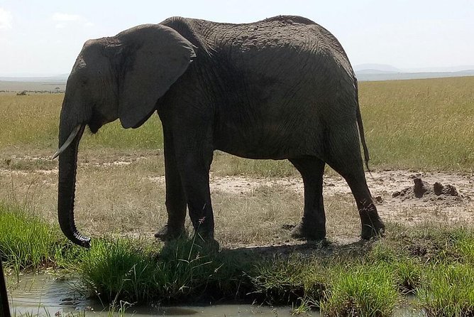 Amazing 9 Days Kenya and Tanzania Budget Safari