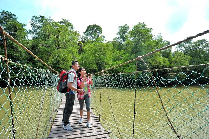 Amazing Taman Negara Day Trip From Kuala Lumpur Including Lunch - Good To Know