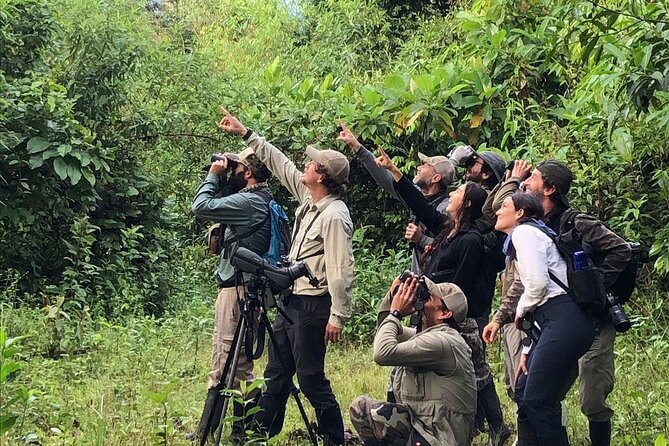 Amazon Jungle From the Andes - Good To Know