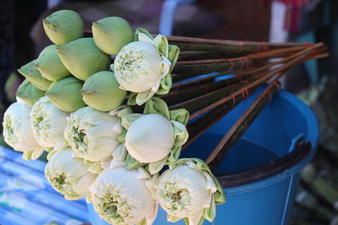 An Early Morning Mingle in Chiang Mai - Tour Overview